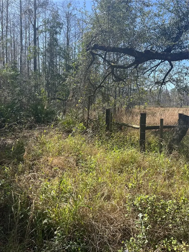 Mount Pleasant Road Groveland FL 34736