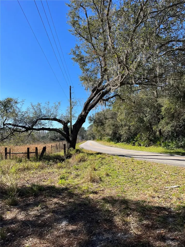 Mount Pleasant Road Groveland FL 34736