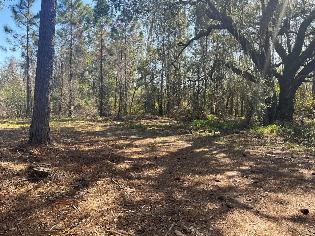 Mount Pleasant Road Groveland FL 34736