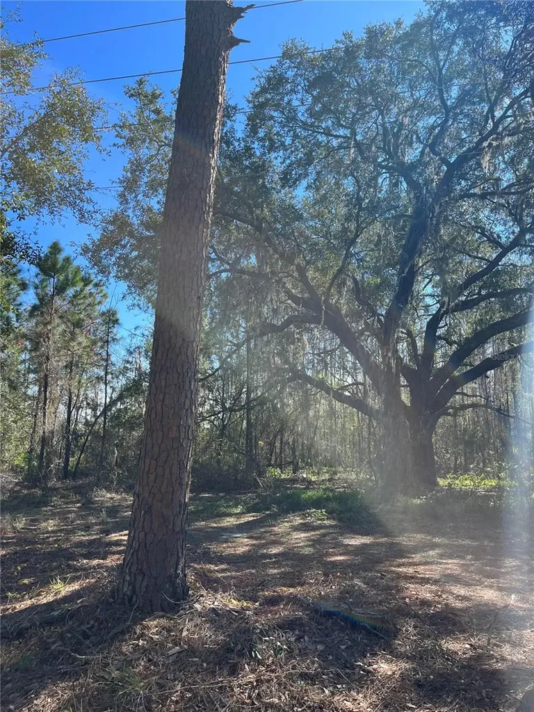 Mount Pleasant Road Groveland FL 34736