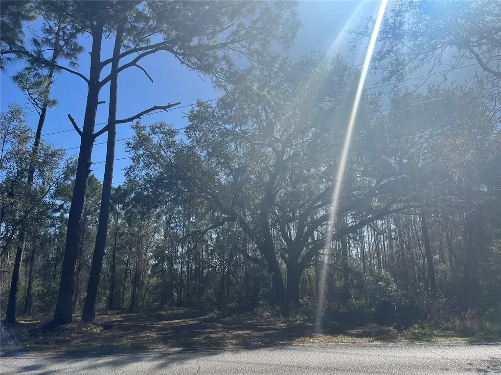 Mount Pleasant Road Groveland FL 34736