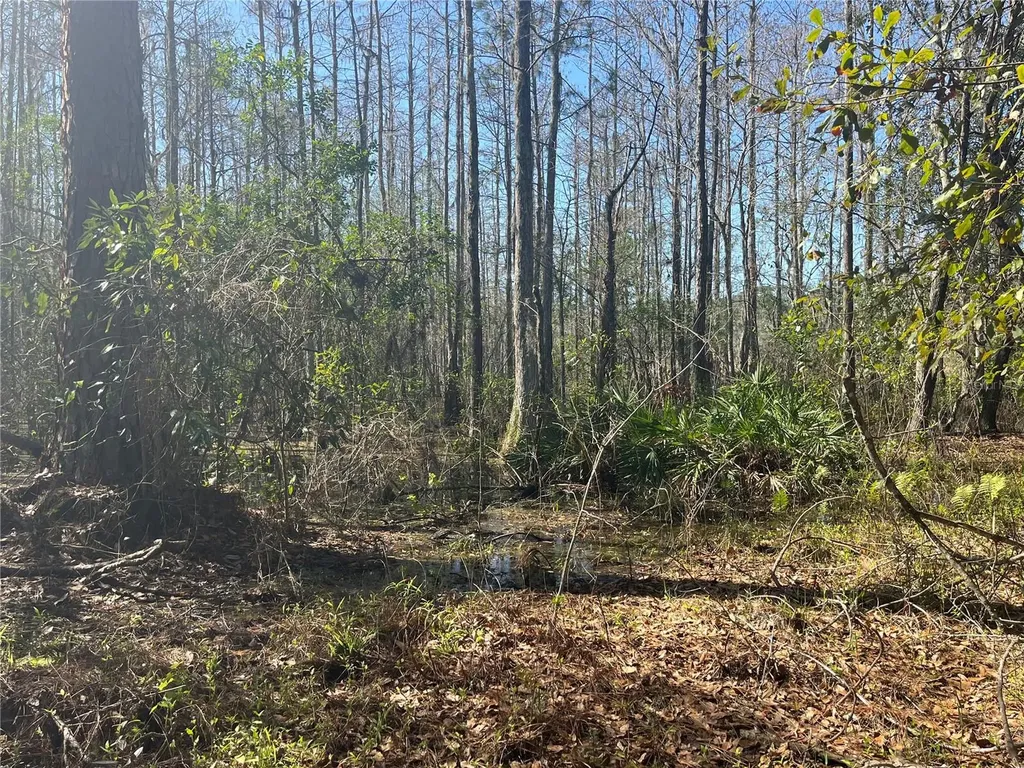 Mount Pleasant Road Groveland FL 34736
