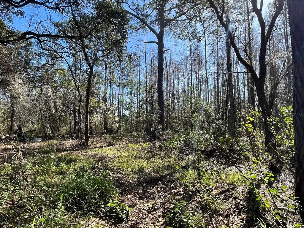 Mount Pleasant Road Groveland FL 34736