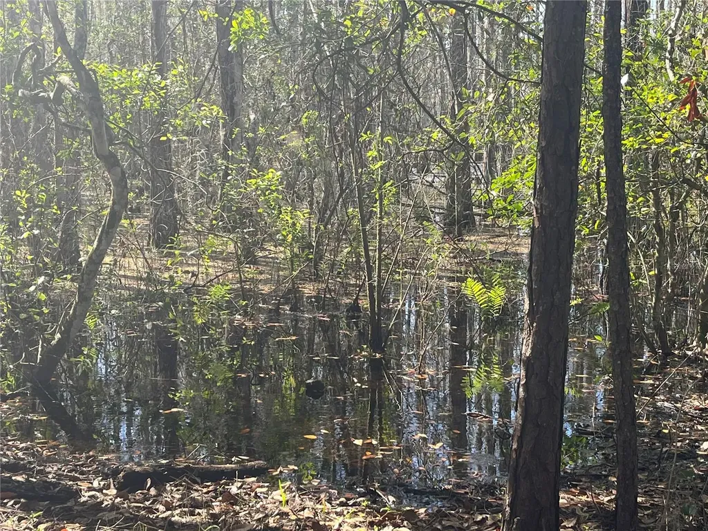 Mount Pleasant Road Groveland FL 34736