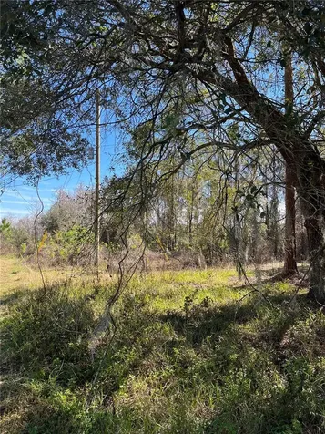Mount Pleasant Road Groveland FL 34736