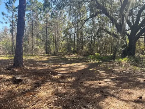 Mount Pleasant Road Groveland FL 34736