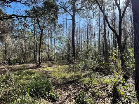 Mount Pleasant Road Groveland FL 34736