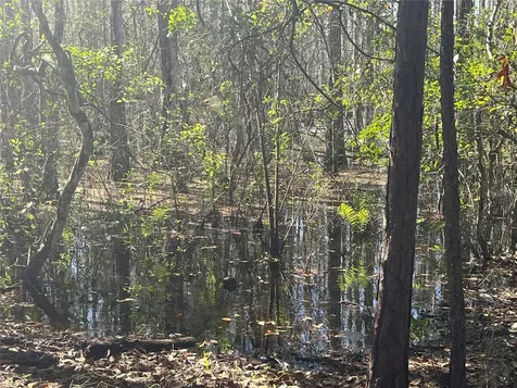 Mount Pleasant Road Groveland FL 34736