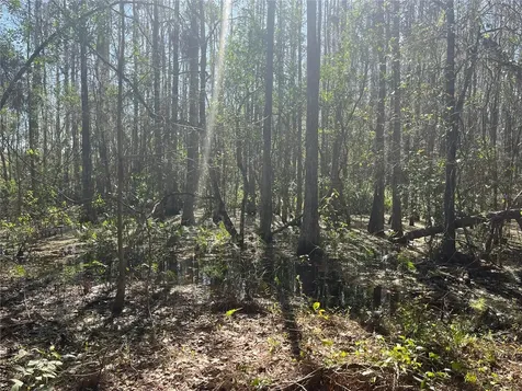 Mount Pleasant Road Groveland FL 34736