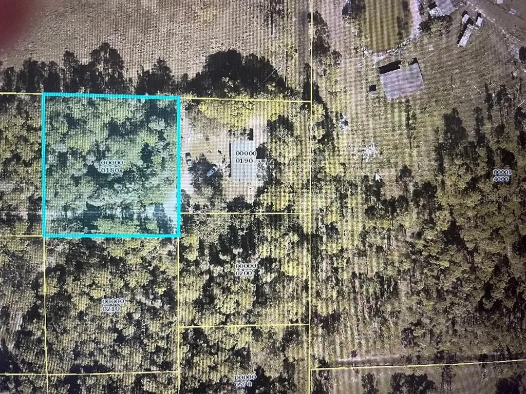 9931 Councilor Lane North Fort Myers FL 33917