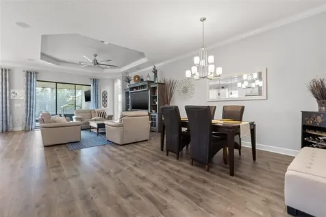 8725 Sorano Villa Drive Tampa FL 33647