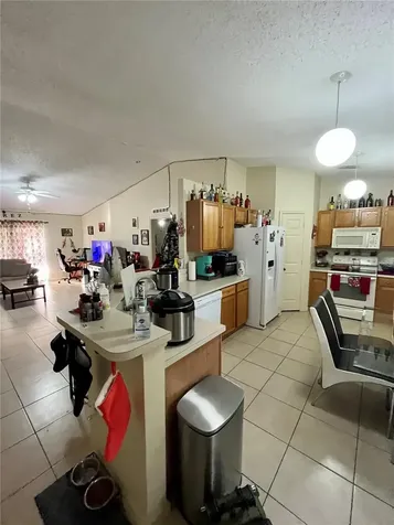 1713 Sunset Ridge Drive Mascotte FL 34753