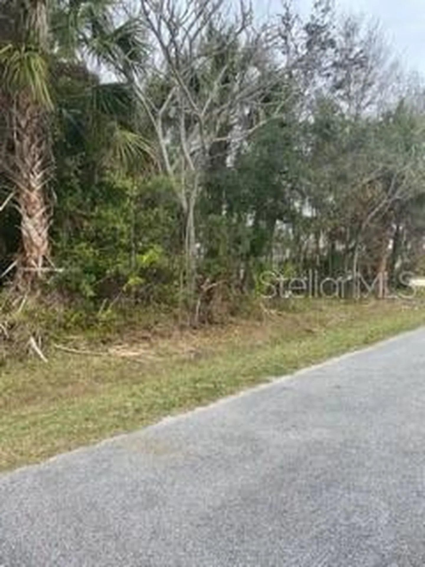 15 Cedardale Court Palm Coast FL 32137