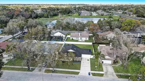 2055 Monica Court Palm Harbor FL 34683