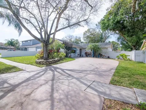 8204 Kirkwood Drive Tampa FL 33634