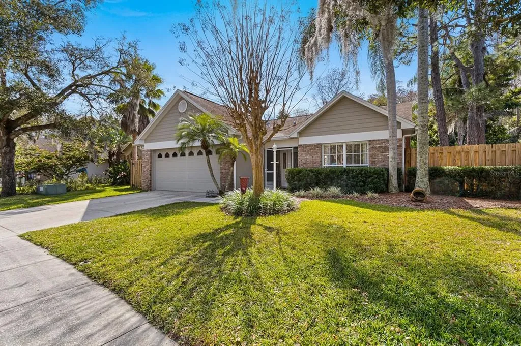 3160 Jodi Lane Palm Harbor FL 34684