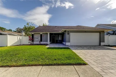11916 Snapdragon Road Tampa FL 33635