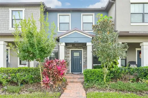 28619 Tranquil Lake Circle Wesley Chapel FL 33543