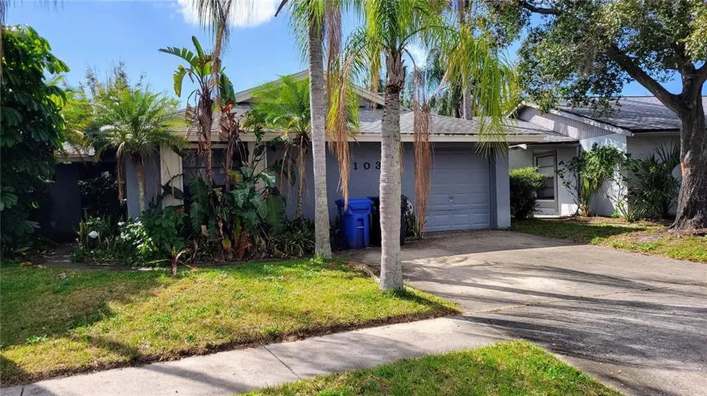 10339 Chadbourne Drive Tampa FL 33624