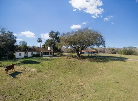 17716 Whiting Street Micanopy FL 32667