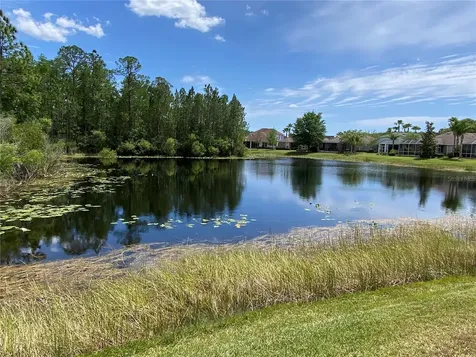 8113 Camella Lane Tampa FL 33647