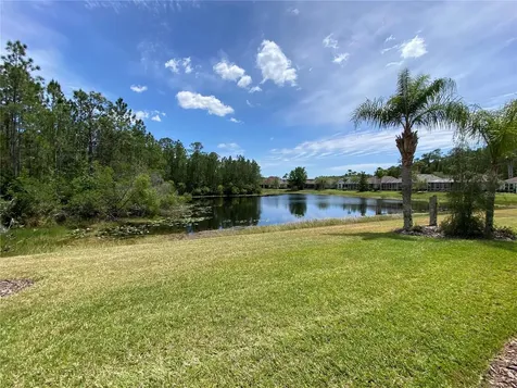 8113 Camella Lane Tampa FL 33647