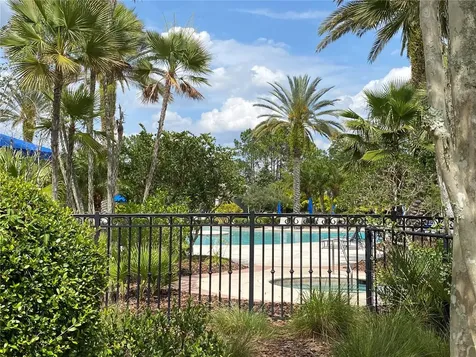 8113 Camella Lane Tampa FL 33647