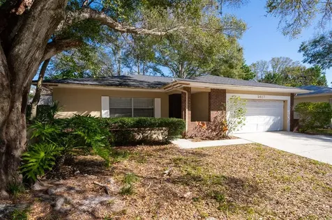 2417 E Orangehill Avenue Palm Harbor FL 34683