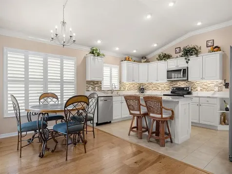 1981 Ladyfish Avenue The Villages FL 32162