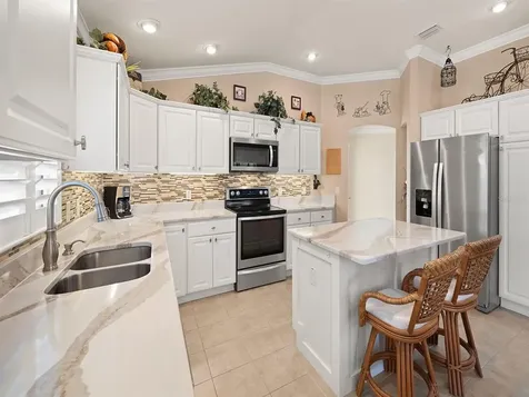 1981 Ladyfish Avenue The Villages FL 32162