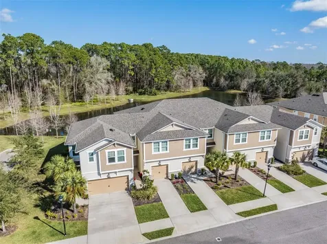 5527 Cumberland Star Court Lutz FL 33558