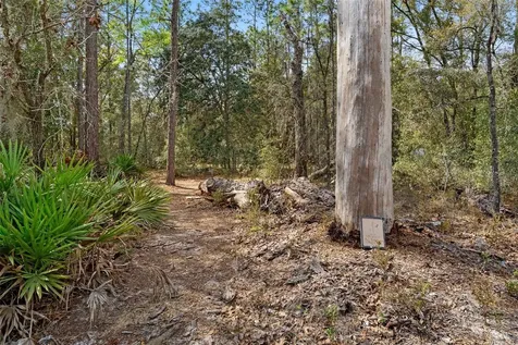6924 W Redmond Court Dunnellon FL 34433