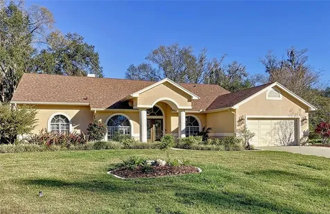 17003 Amber Lake Court Lutz FL 33549