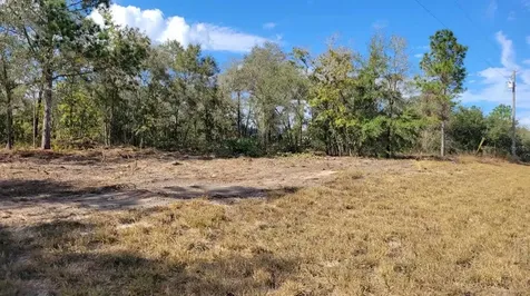 5350 SE 128th Terrace Morriston FL 32668