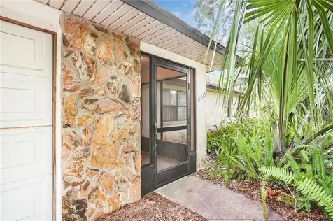 11025 SE 132nd Place Ocklawaha FL 32179
