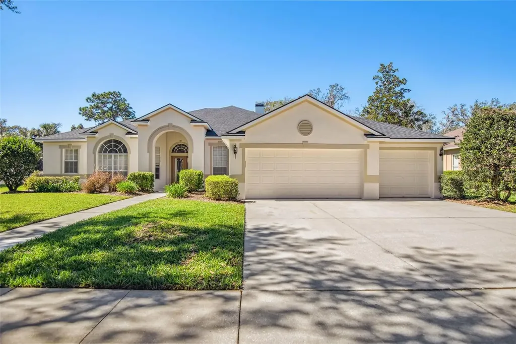 15231 Kestrelrise Drive Lithia FL 33547