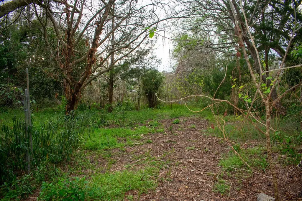 11815 Pruett Alley Dade City FL 33525