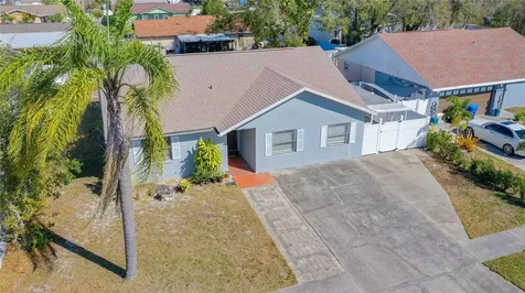10922 Tailfeather Court Tampa FL 33625