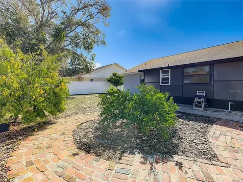 10922 Tailfeather Court Tampa FL 33625