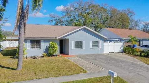 10922 Tailfeather Court Tampa FL 33625