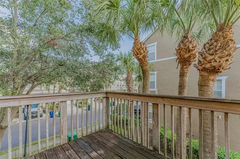 3057 Pointeview Drive Tampa FL 33611