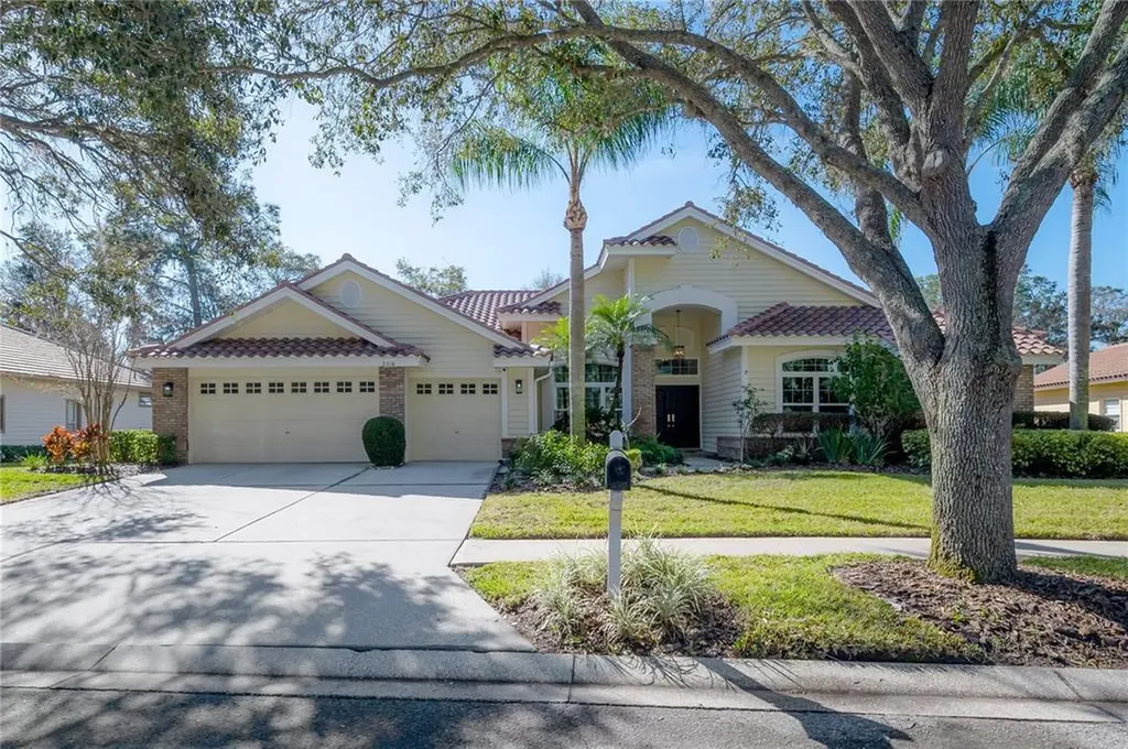 3516 Woodridge Place Palm Harbor FL 34684