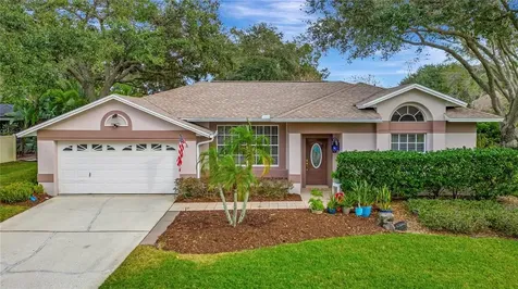 15107 Laurel Cove Circle Odessa FL 33556