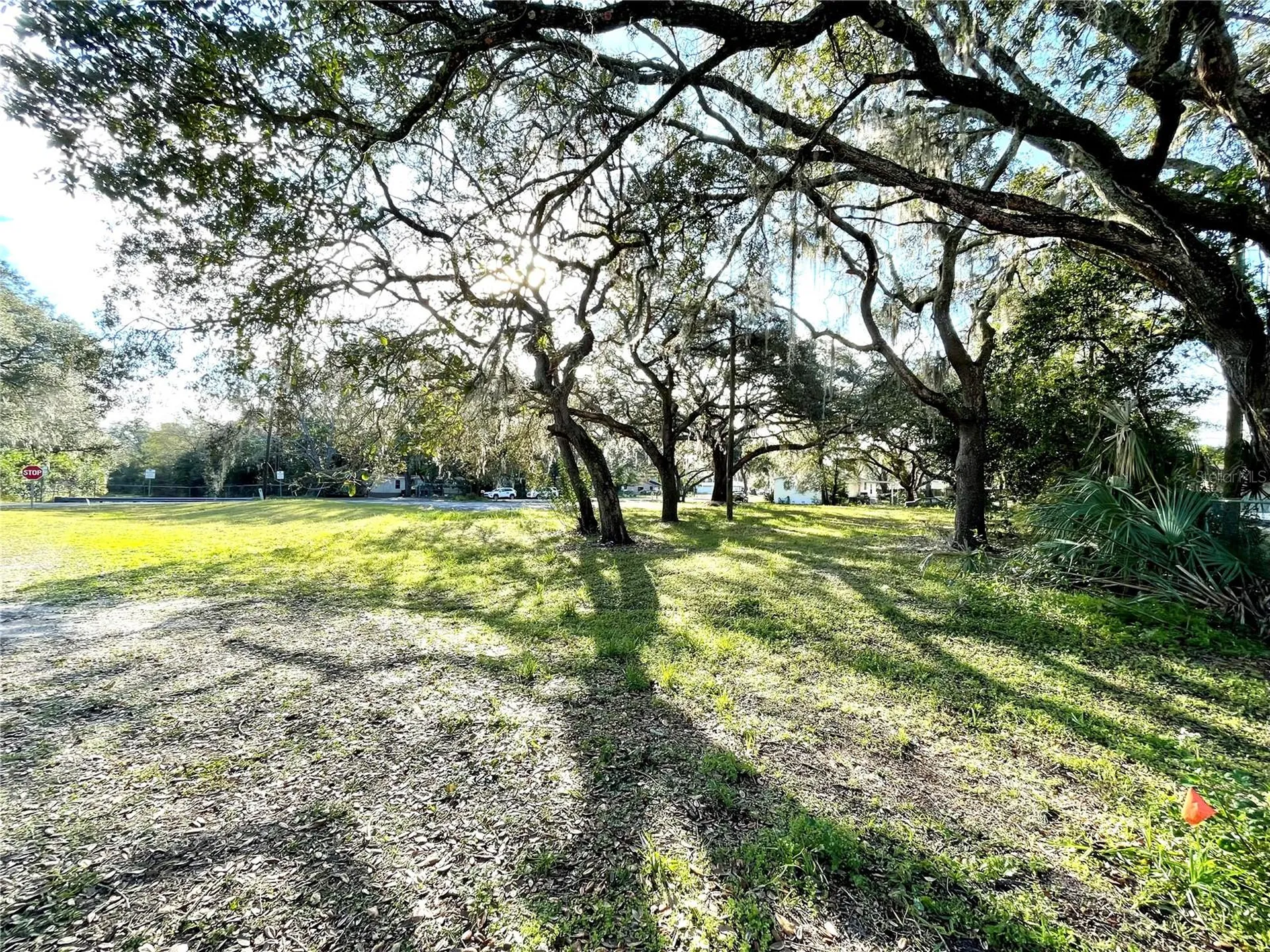 14820 N 15th Street Lutz FL 33549