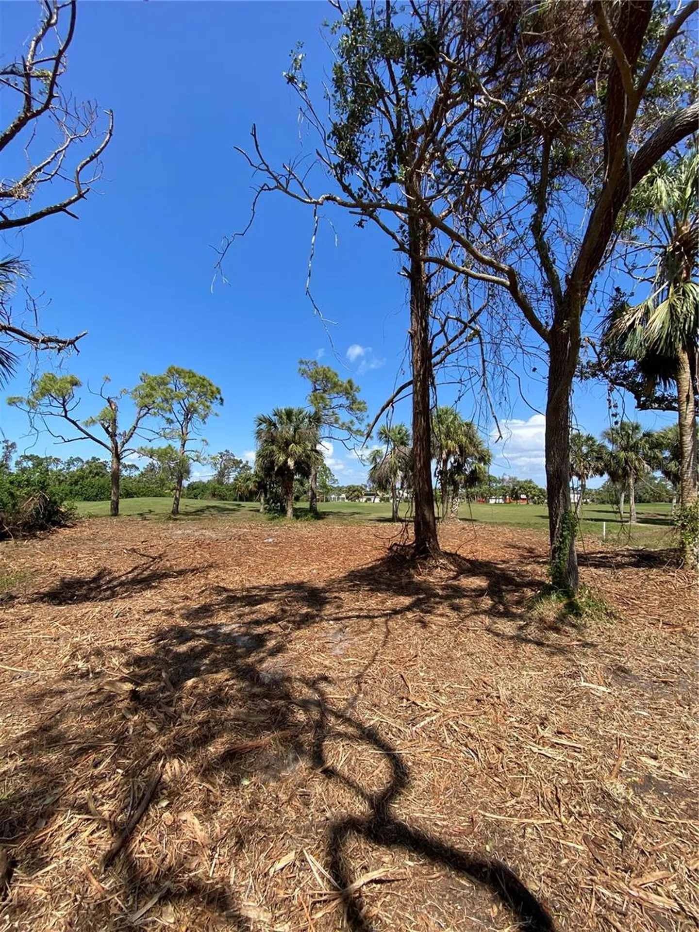 45 Long Meadow Place Rotonda West FL 33947