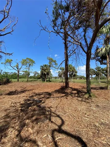 45 Long Meadow Place Rotonda West FL 33947