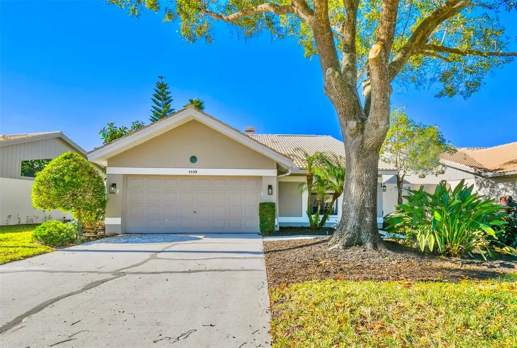 5539 Greyston Street Palm Harbor FL 34685
