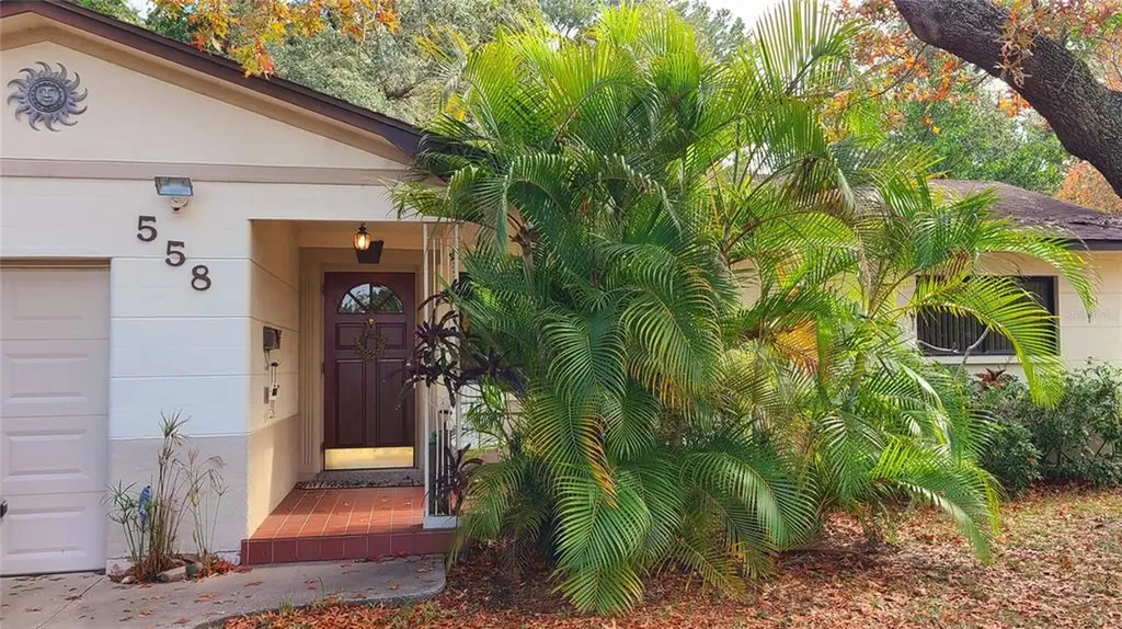 558 64th Street S St Petersburg FL 33707