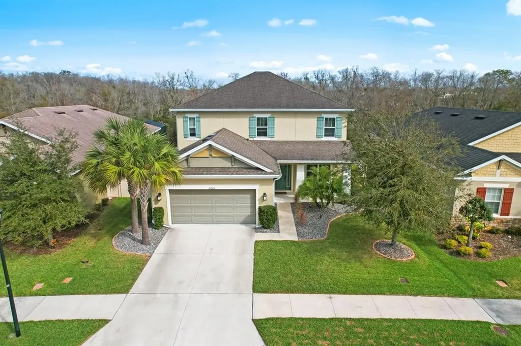 27043 Carolina Aster Drive Wesley Chapel FL 33544