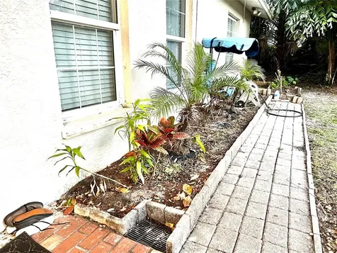 1433 Oak Haven Drive Safety Harbor FL 34695